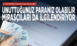 e-Devlet'ten hemen kontrol edin! Unuttuğunuz paranız olabilir: Mirasçıları da ilgilendiriyor