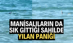 Manisalıların da sık gittiği sahilde yılan paniği
