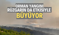 Orman yangınına havadan ve karadan müdahale sürüyor