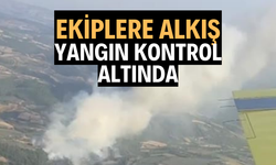Orman yangını kontrol altına alındı