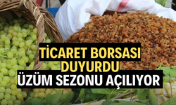 Ticaret Borsası duyurdu: Üzüm sezonu açılıyor