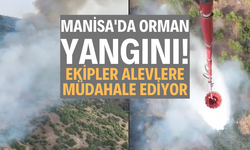 Manisa'da Orman Yangını: Ekipler Alevlere Müdahale Ediyor