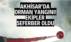 Akhisar’da Orman Yangını: Ekipler Seferber Oldu