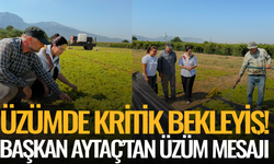 Üzümde kritik bekleyiş! Başkan Aytaç üreticiyle hasatta