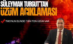 Süleyman Turgut'tan kritik üzüm açıklaması: Bu yılki rekolte geçen yılın 2 katı
