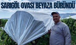Sarıgöl Ovası beyaza büründü