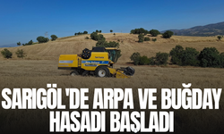 Sarıgöl'de arpa ve buğday hasadı başladı
