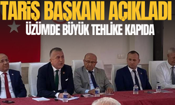 Manisa'nın üzümü için kritik çağrı: Böyle giderse pazar kaybedilecek