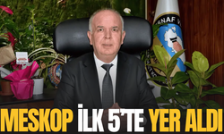MESKOP Türkiye'de ilk 5'te
