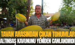 Tavan arasından çıkan tohumlar Altınbaş Kavununu yeniden canlandırdı