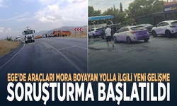 Ege'de araçları mora boyayan yolla ilgili yeni gelişme: Soruşturma başlatıldı