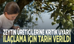 Zeytin üreticilerine kritik uyarı!  İlaçlama için tarih verildi
