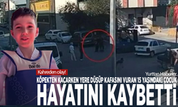 Kahreden olay! Köpekten kaçarken yere düşüp kafasını vuran 15 yaşındaki çocuk hayatını kaybetti