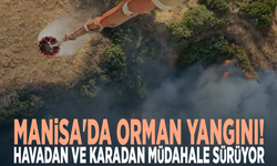 Manisa'da orman yangını! Havadan ve karadan müdahale sürüyor