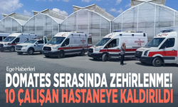 Domates serasında zehirlenme! 10 çalışan hastaneye kaldırıldı