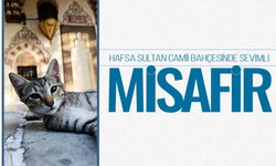 Hafsa Sultan Camii Bahçesinde Sevimli Misafir