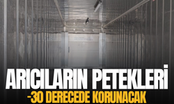 Manisa’da arıcıların peteklerini koruyacak proje hayata geçiyor