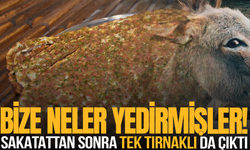Manisa’da lahmacun harcında tek tırnaklı eti tespit edildi