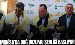 Manisa'da bağ bozumu şenliği başlıyor