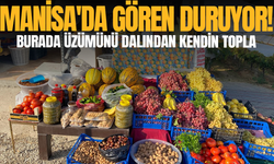 Manisa'da üreticiden örnek girişim: Bağını ziyaretçilere açtı