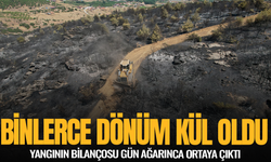 Manisa'da bilerce dönüm kül oldu