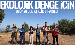 Manisa'da doğaya 500 keklik bırakıldı