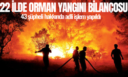 22 ilde orman yangını bilançosu