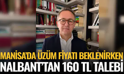 Ekrem Nalbant’tan üzüm fiyatı çağrısı: “160 TL olmalı”