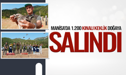Kene ve Çekirgeyle Doğal Mücadele: Manisa'da 1.200 Keklik Doğaya Bırakıldı