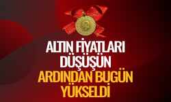 Altın sert düşüşün ardından yükselişe geçti