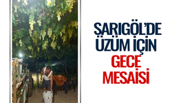 Sarıgöl’de üzümler gece gündüz demeden hazırlanıyor