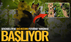 Şehzadeler'de bağ bozumu fotoğraf yarışması başlıyor