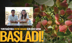 Yuntdağı’nda fıstık hasadı için geri sayım başladı