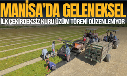 Manisa'da Geleneksel İlk Çekirdeksiz Kuru Üzüm Töreni Düzenleniyor