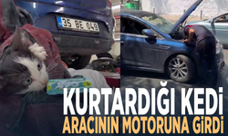 Kurtardığı kedi aracının motoruna girdi