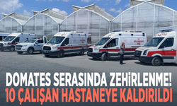Domates serasında zehirlenme! 10 çalışan hastaneye kaldırıldı