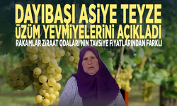 Dayıbaşı Asiye Teyze üzüm yevmiyelerini açıkladı... Rakamlar Ziraat Odaları'nın tavsiye fiyatlarından farklı