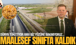 Üzüm üretiminde dünya devi Türkiye, tüketimde sınıfta kaldı