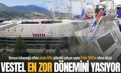 Vestel en zor dönemini yaşıyor