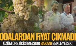 Manisa'da ziraat odaları üzüm için neden fiyat vermedi?