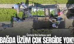 Manisa'da üzüm üreticisi tedirgin: Bağda var, sergide yok