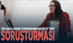 Sera Kadıgil hakkında 'cumhurbaşkanına hakaret' ve 'tehdit' soruşturması