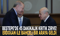Beştepe'de 45 dakikalık kritik zirve! Erdoğan ile Bahçeli bir araya geldi