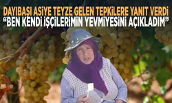 Dayıbaşı Asiye Teyze gelen tepkilere yanıt verdi: “Ben kendi işçilerimin yevmiyesini açıkladım”