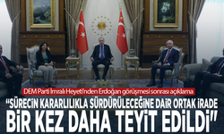 DEM Parti İmralı Heyeti’nden Erdoğan görüşmesi sonrası açıklama