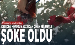 Manisa’da Sıradışı Olay: Keseceği Horozun Ağzından Çıkan Kelimeyle Şoke Oldu