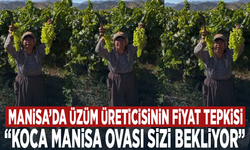 Manisa’da üzüm üreticisinin fiyat tepkisi: “Koca Manisa Ovası sizi bekliyor”