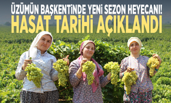 Üzümün başkentinde yeni sezon heyecanı! Hasat tarihi açıklandı