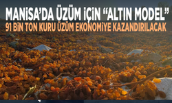 Manisa’da üzüm için “Altın Model”... 91 bin ton kuru üzüm ekonomiye kazandırılacak