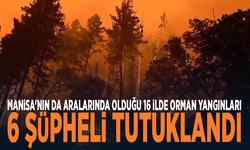 Manisa'nın da aralarında olduğu 16 ilde orman yangınları: 6 şüpheli tutuklandı